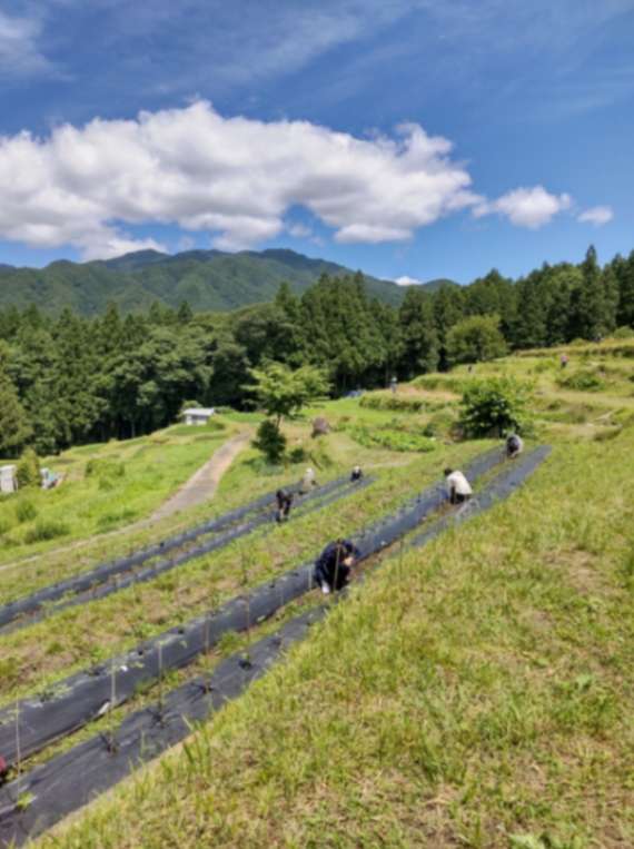 里山暮らし応援隊